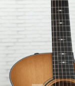 Taylor 50th Anniversary 314ce Grand Auditorium Acoustic-electric Guitar - Tobacco - Image 8