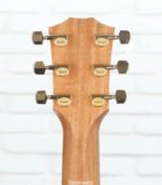 Taylor 224ce-K DLX Grand Auditorium Acoustic-electric Guitar - Tobacco - Image 9