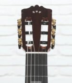 Cordoba GK Pro Negra Nylon String Acoustic-Electric Guitar - Spruce - Image 7