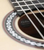 Cordoba GK Pro Negra Nylon String Acoustic-Electric Guitar - Spruce - Image 13