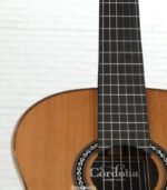 Cordoba C12 CD Nylon String Acoustic Guitar - Cedar - Image 5