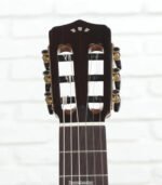 Cordoba Stage Thinbody Nylon Acoustic-electric Guitar - Edgeburst - Image 4
