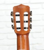 Cordoba Stage Thinbody Nylon Acoustic-electric Guitar - Edgeburst - Image 6