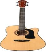 Washburn Apprentice D5CE Acoustic-electric Guitar Pack - Natural - Image 2